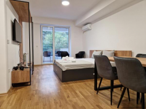 Luxury Apartment IVA III
